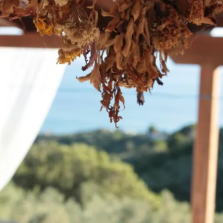 Sweet - Skopelos